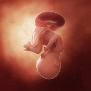 ᐅ 35 Ssw Schwangerschaftswoche Alle Infos Grosse Entwicklung