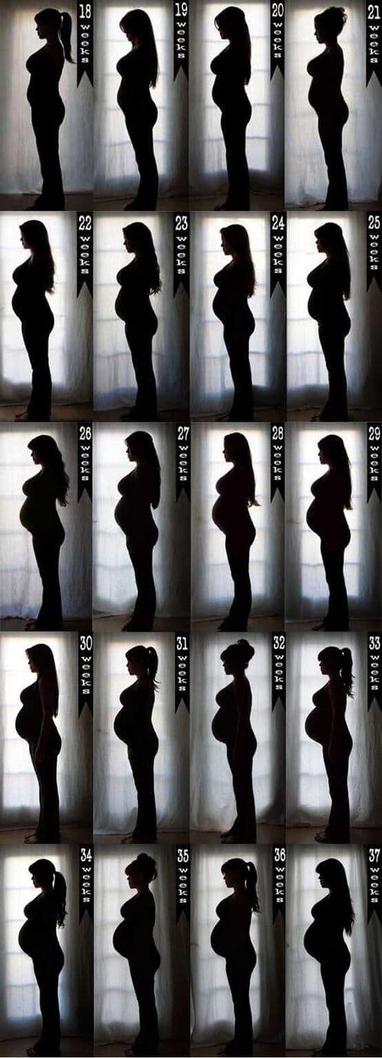 Fotos von schwangerer Silhouette