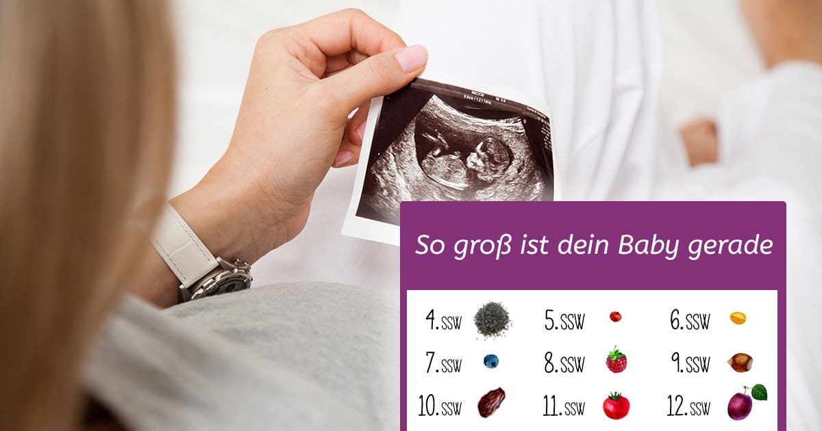 baby entwicklung - So entwickelt sich der Embryo in der Schwangerschaft