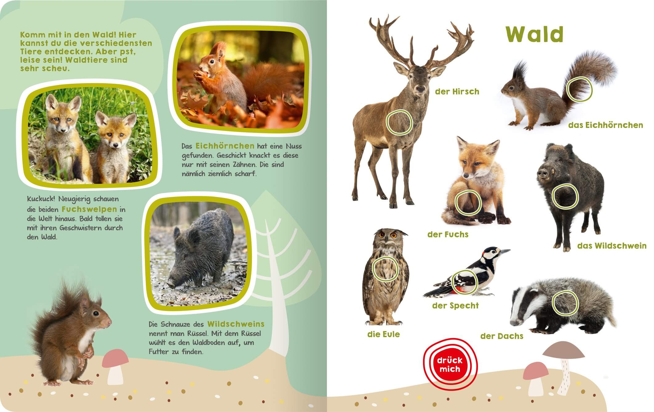 Tiergeraeusche Buch - Kinderbücher ab 2 Jahren: Unsere Lieblingsbücher