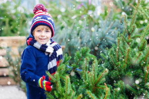 Weihnachtsbaum ohne Pestizide