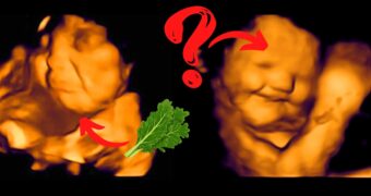 gemuese in der schwangerschaft - Dieses Gemüse bringt deinen Bauchzwerg zum Lachen