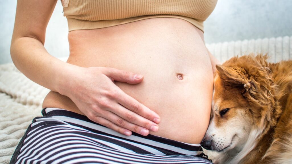 Leben mit Haustieren schuetzt schon im Mutterleib vor Allergien 2 - Leben mit Haustieren schützt schon im Mutterleib vor Allergien