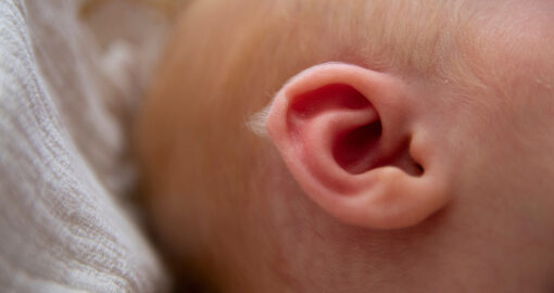 Lanugobehaarung beim neugeborenen Baby am Ohr