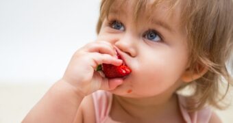 Eltern aufgepasst Gefaehrliche Pestizide in Erdbeeren gefunden 2 - Gefährliche Pestizide entdeckt: Diese Erdbeeren sind am wenigsten belastet