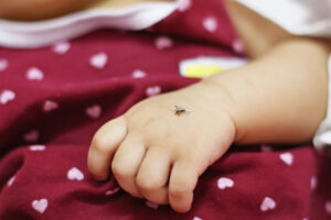 Mückenschutz Baby