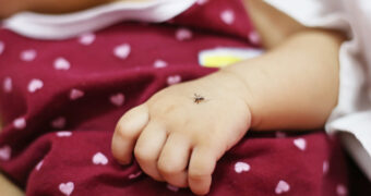 Mückenschutz Baby
