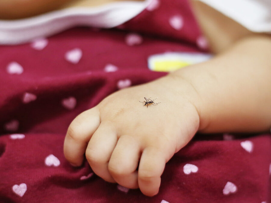 Was ist der richtige Mückenschutz fürs Baby?
