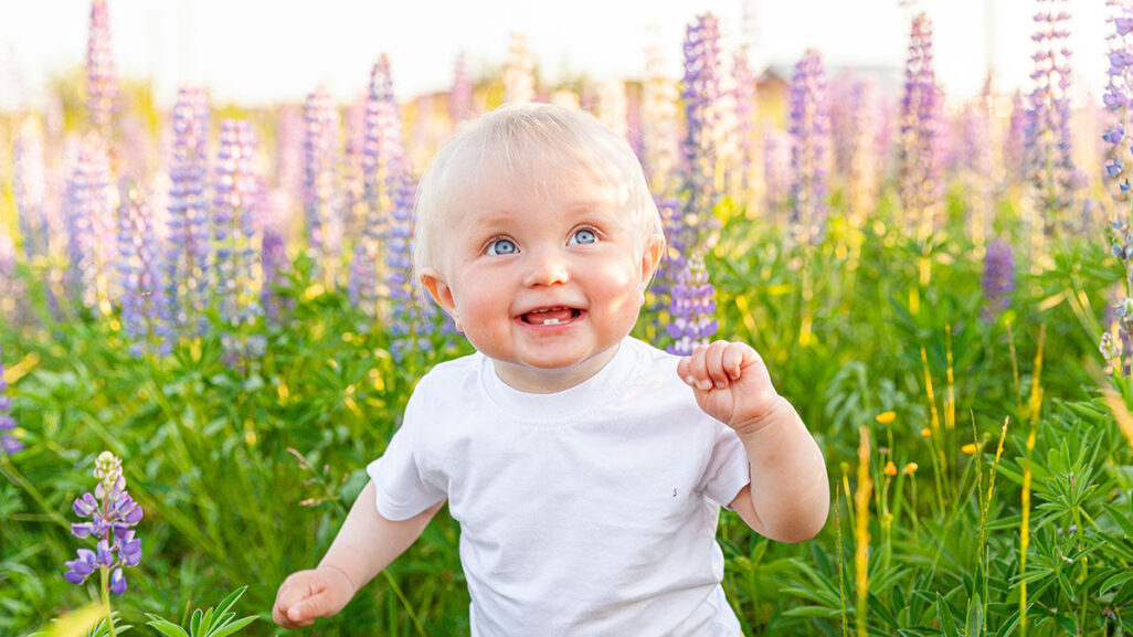 Kleiner Junge freut sich im Blumenfeld